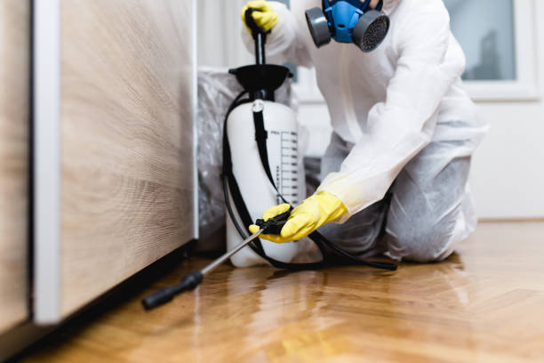 Best Pest Control for Businesses  in Boyne City, MI