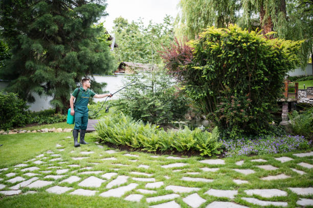 Best Best Pest Control Companies  in Boyne City, MI