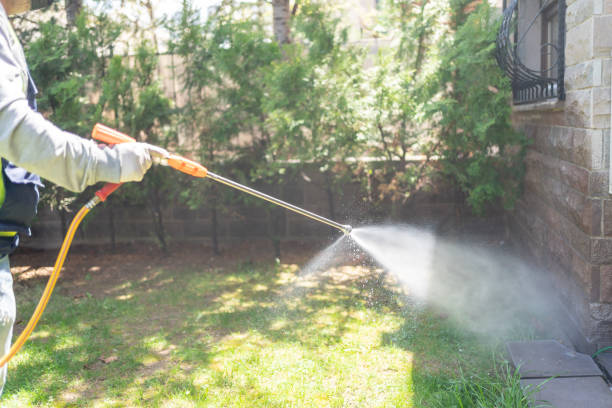 Best Ant Control Services  in Boyne City, MI